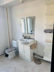 a bathroom with a toilet and a sink and a mirror at Appartement cosy et lumineux Gravelines centre la gravelinoise 2 in Gravelines +23 photos