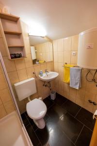 Un baño pequeño con inodoro y lavabo. en Apartmani-Finka, en Vodice