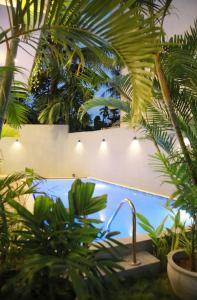 Κήπος έξω από το PRIIMA Ahangama