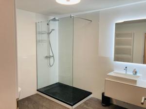 a bathroom with a glass shower and a sink at Ferienwohnung & Monteurunterkunft Mainbogen-Blick in Grettstadt