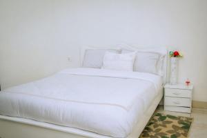 Billede fra billedgalleriet på Zebra Domus i Huye