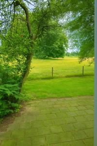 a tree in a grassy field with a stone path at Chalet Marter in Sellingen +6 photos