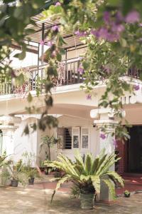 a white building with plants in front of it at New Blue Mount View Kandy in Kandy +59 photos