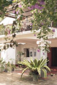 a building with plants in front of it at New Blue Mount View Kandy in Kandy