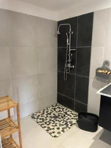 a bathroom with a shower with black and white tiles at Appartement charmant avec piscine partagée à Le François in Bois-Neuf