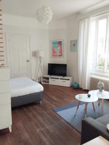 ein Schlafzimmer mit einem Bett und einem Fernseher in der Unterkunft Les Cocons de Stéphanie in Vichy