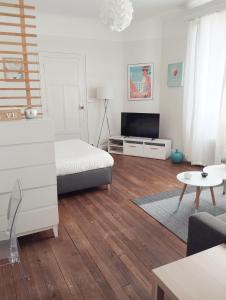 ein Wohnzimmer mit einem Bett und einem Fernseher in der Unterkunft Les Cocons de Stéphanie in Vichy