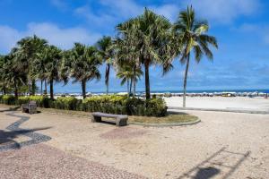 Vila BalneáriaにあるApto com Ar-condicionado e Churrasqueira Privativaのヤシの木と砂浜の公園