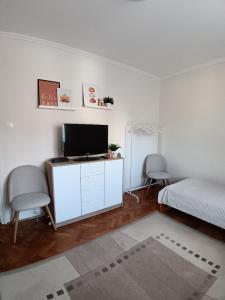 een slaapkamer met een bed en een tv op een kast bij Tulipán Apartman in Békéscsaba