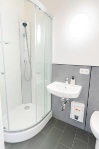 een badkamer met een douche en een wastafel bij Business Apartments Augsburg mit WIFI, TV, Parken in Augsburg