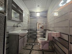 a bathroom with a pink toilet and a sink at Scarlet Luxury Camp Wadi Rum in Wadi Rum +120 photos