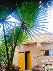 Zahrada ubytování Ferme des Tipis Dome Marrakech