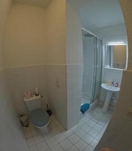 Koupelna v ubytování Le petit Grésivaudan