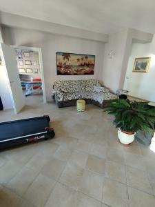 プラーイア・ア・マーレにあるMira Beachのリビングルーム(ソファ、植物付)