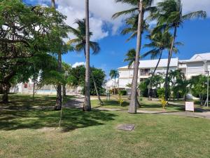 a park with palm trees in front of a building at L'oasis de Saint-François, studio An bel ti koté in Saint-François