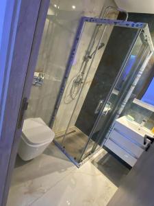 ein Badezimmer mit Dusche, Toilette und Waschbecken in der Unterkunft Charming apartment in Ariana