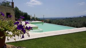 einen Pool mit lila Blumen im Hof in der Unterkunft Il Merangolo in Montebuono