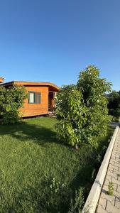 a house with a tree in front of a yard at Cirali Zambak Villa in Cıralı