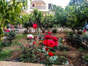Un jardín con flores rojas frente a un edificio. en 4 Seasons Suites Paradise Athens Airport 2, en Markopoulo 24 fotos más