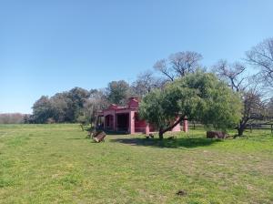 een rood huis in een veld met een koe in het gras bij La Chacra in Pilar