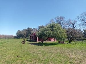 een huis in het midden van een veld met een boom bij La Chacra in Pilar