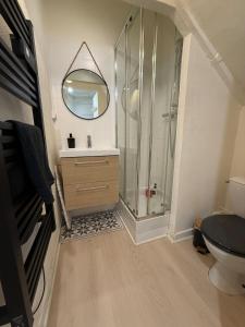 een badkamer met douche, wastafel en spiegel bij SWEET HOME Votre havre de paix au cœur d'Epernon in Épernon