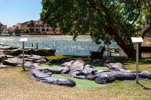 Příroda nedaleko apartmánu