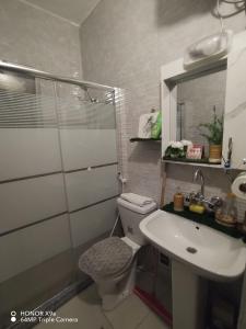 a bathroom with a toilet and a sink and a shower at Seleucia DaR Umm Qais in Um Qeis