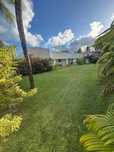 einen Hof mit Palmen und einem Gebäude in der Unterkunft Casa em Tamandaré praia in Tamandaré