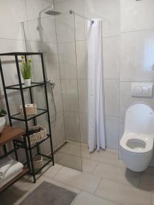 a bathroom with a shower and a toilet at Apartman Lasko in Razvala