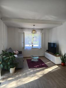 a living room with a couch and a tv at Apartman Lasko in Razvala