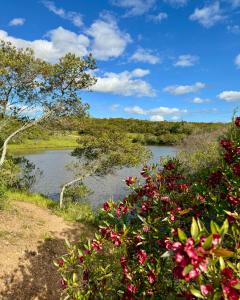 Fotografie z fotogalerie ubytování Casa Mara Sierra 2 v destinaci Nueva Carrara