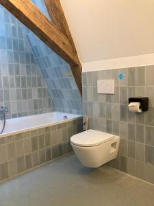 a bathroom with a toilet and a bath tub at Schulze am Markt in Lichtenfels +33 photos