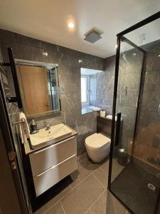 a bathroom with a sink and a toilet and a shower at Luxurious, Unique & Elegant Cottage with Hot Tub in Ollach