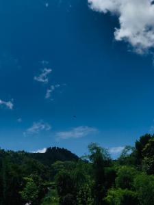 Příroda nedaleko penzionu + 14 fotografií