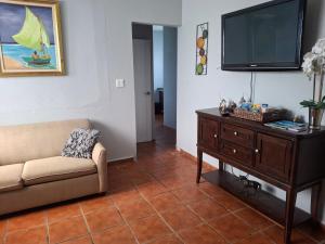 a living room with a couch and a flat screen tv at Hacienda El Palmar A in Vega Baja