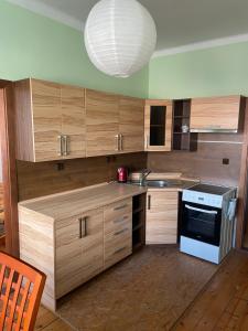 a kitchen with wooden cabinets and a white appliance at Apartmány Obora v Podbezdězí in Doksy +11 photos