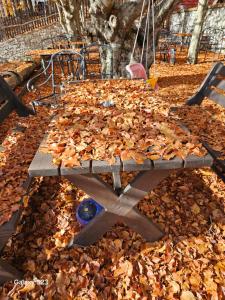 una mesa cubierta de hojas en el suelo en Razem Lendina e Qete, en Razëm