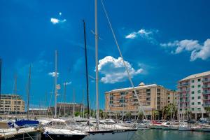 a group of boats docked in a harbor with buildings at Historic Palace Duplex - Cruises 2min - AC - WiFi in Savona
