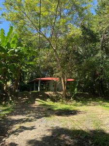 Κήπος έξω από το El Templo