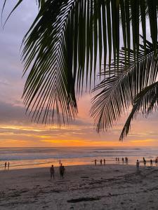 Φυσικό τοπίο κοντά σε αυτό το δωμάτιο σε οικογενειακή κατοικία