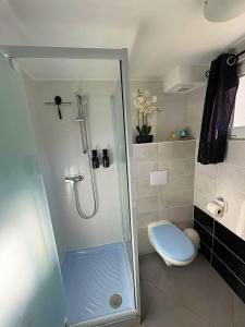 ヴィレ・ル・ラックにあるBelle îleのシャワーとトイレ付きの小さなバスルーム