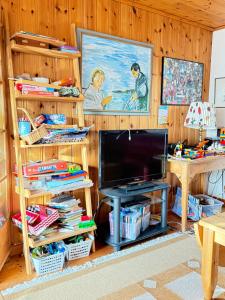 NybodaにあるSwedish Beach House in Stockholm Archipelago, Skärgårdsstuga i Roslagenの木製の壁のリビングルーム(薄型テレビ付)