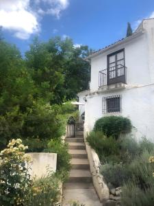 Zahrada ubytování Casa Cruz Resort