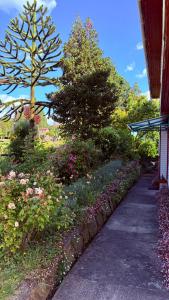 un jardín con flores y una acera junto a un edificio en Cabañas Casona Italiana, en Lago Ranco 19 fotos más