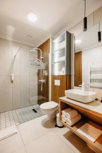 een badkamer met een wastafel, een toilet en een douche bij Barka in Borsec