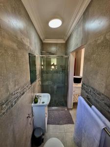 a bathroom with a shower and a toilet and a sink at Urban Bliss Villa in Klerksdorp