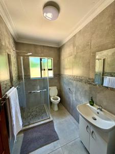 a bathroom with a shower and a toilet and a sink at Urban Bliss Villa in Klerksdorp