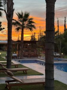 a resort with a pool with palm trees and a sunset at Villa Sofia And Spa in Marrakech