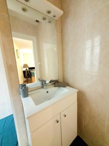 ein Badezimmer mit Waschbecken und Spiegel in der Unterkunft Appartement Saint Martin in Ussel